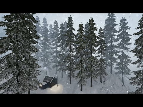 Winter Cabin in Snowstorm Ambience – Blizzard Sounds & Howling Wind for Sleep, Relax, and Study