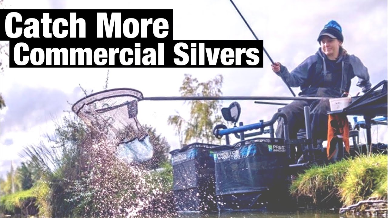 Commercial Silverfish Tips - Lindholme Lakes