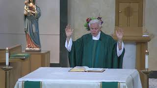 Vigil Mass of the Fourteenth Sunday in Ordinary Time (After  power outage)