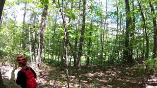 On any Sunday 6/22/2014 Pine hill park Rutland Vermont