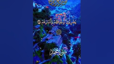 احترام القران الكريم لو  دقيقه