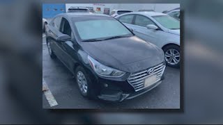 Car owner stops attempted car thief
