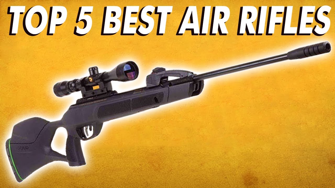 Best Air Rifles Top 5 Most Powerful Air Rifles 2023 Youtube