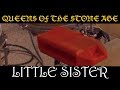 Queens of the Stone Age - Little Sister (Cover by Joe Edelmann)