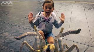 Spiders Augmented Reality App screenshot 1