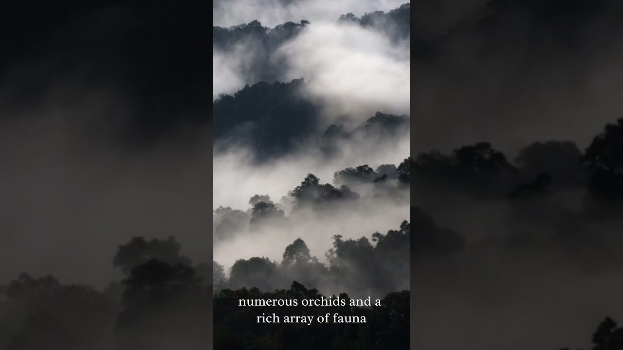 Silent Valley: Preserving a Precious Ecosystem