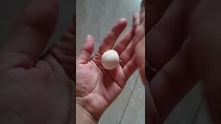 diy snail 🐌 #diy #shortvideo #shorts