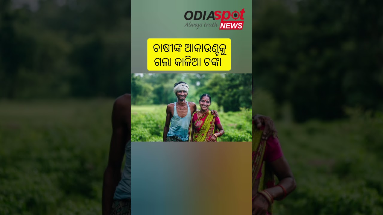 ଚାଷୀଙ୍କ ଆକାଉଣ୍ଟକୁ ଗଲା କାଳିଆ ଟଙ୍କା, ଶୀଘ୍ର ଆକାଉଣ୍ଟ ଚେକ୍‌ କରନ୍ତୁ 