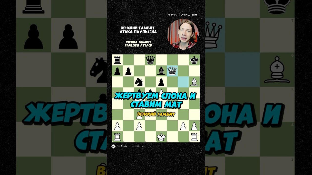 Всегда жертвуй фигуру в Венском гамбите, чтобы выигрывать!