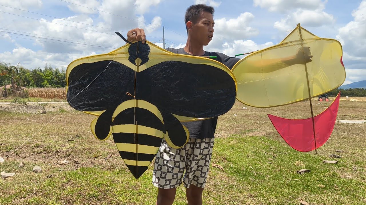 SARANGGOLA BUBOYOG AT DE BUWAN GRABE ANG INIT.