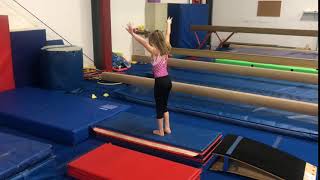 Pre-Team Vault Routine