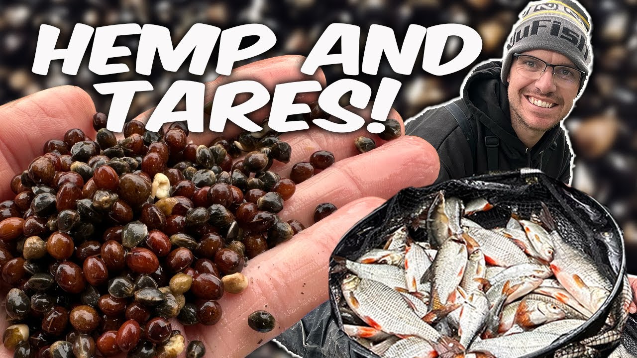 best closed face fishing reel 2018 Spincast Reel, High Speed 2.6: 1 Gear Ratio, Mini Fishing Built in Close Tackle with Fishing Lines for Fly Fishing Baitcasting Freshwate Saltwater (Red) : Sports & Outdoors Old heddon fishing lures Lure Colour:#15 LZ BEACH SARDINE horse hook Abu Garcia is the