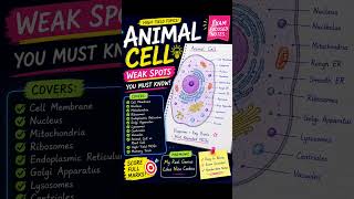 Animal Cell Weak Spots #biology #animalcell #cellbiology #study #shorts #trending #handwritten