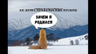 В ЧЕМ ЦЕЛЬ ТВОЕГО РОЖДЕНИЯ! СУДЬБОНОСНЫЕ ПЕРЕМЕНЫ!