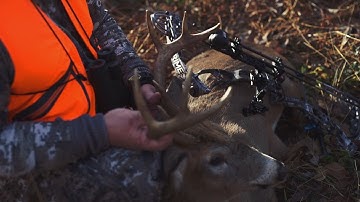 Video Tech Tip (6 of 10) Aperture