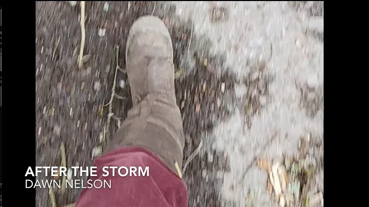 After The Storm - Dawn Nelson