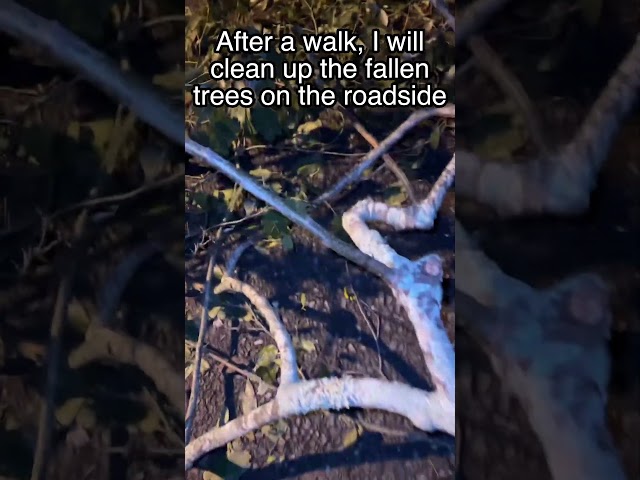 I found it while walking