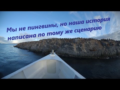 "Остров пингвинов" Франс Анатоль об истории и историках🤨