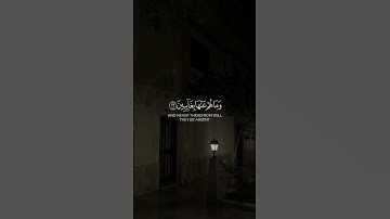 ﴿إِنَّ ٱلۡأَبۡرَارَ لَفِی نَعِیمࣲ﴾ القارئ ماجد خالد العماري .