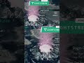 Honey I grew the vines | #koldkace on #Twitch #Like #Subscribe #Hype #Follow #Request #Sub #JoinDaTr