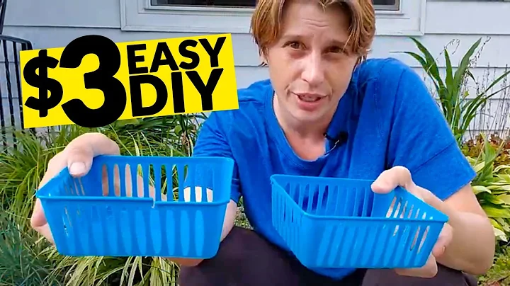 Why you need an external filter for your fountain pump