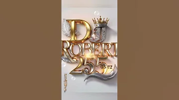 DJ ROBERT 255 TZ 