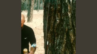 Bir Sigara Kadarsın