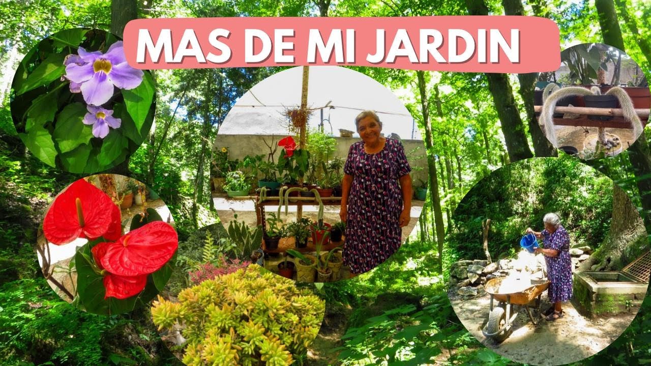 Les muestro LAS PLANTAS DE MI JARDIN y también les enseño EL POZO A DONDE VOY POR AGUA