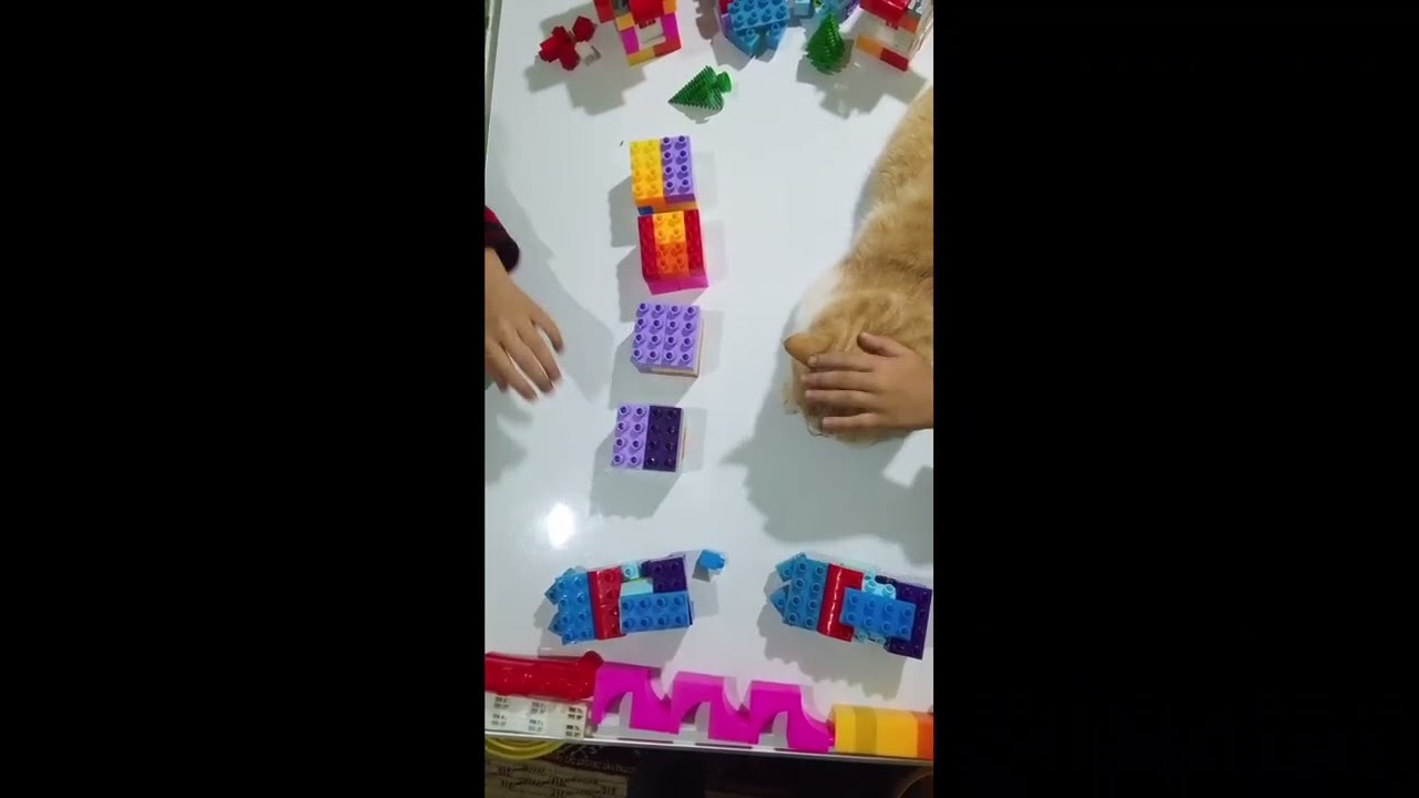 ANSWER: CAT 🐾I have whiskers and a tail,I say “meow” every day.I walk near the LEGO toys,Who am