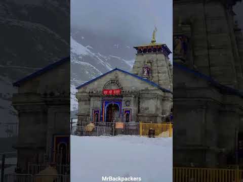 MrBackpackers travel short 18