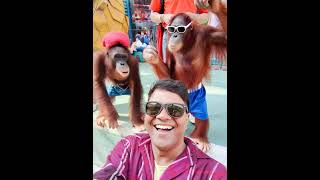 my travel mini blog 🤗 #entertainment #shortsvideo #funny