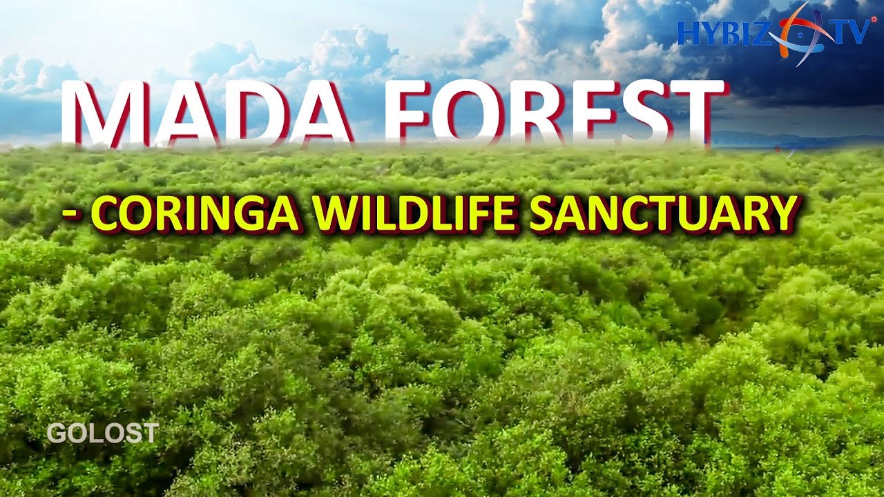 newspaper mockup Mada Forest Kakinada, East Godavari, Andhra Pradesh | Andhra Pradesh Tourism