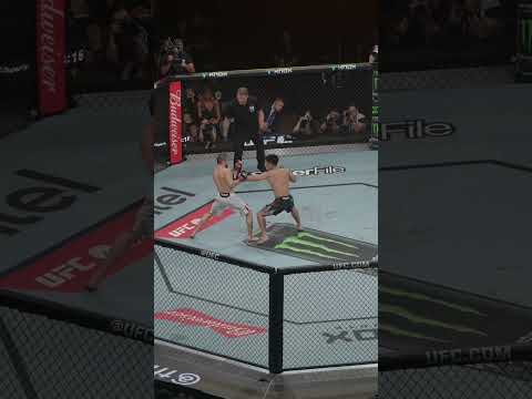 CRAZY ANGLE of Song Yadong's knockout #ufcshanghai