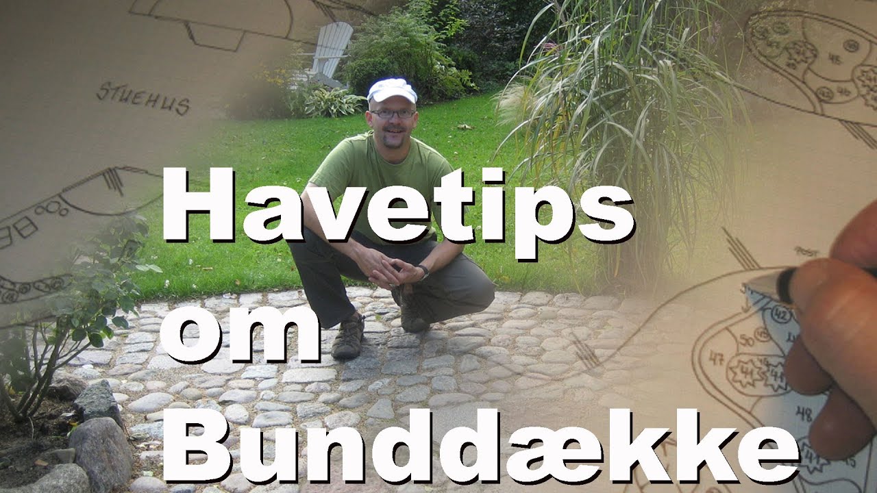 GRØNT HAVEDESIGN - Havetips om Bunddække