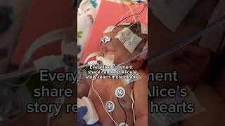 please help Alice to afford her heart surgery please help 🙏 #annie #marcywu #amphibiaanne #shorts