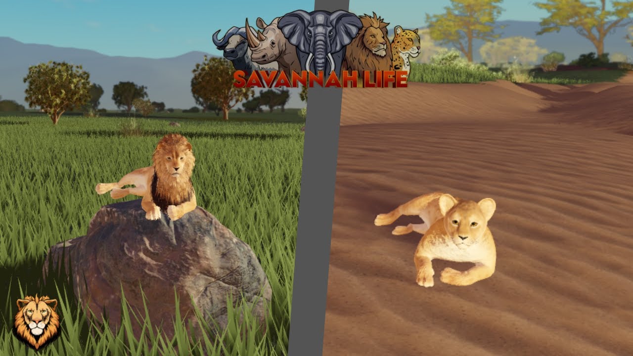 Hunting as Lion Savannah Life ⏐ Roblox PT1
