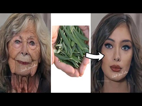 معجزة أوراق الزيتون سبحان الله ستجعلك بنت16مهما كنتي فوق40بشرة مشدودة بدون تجاعيد ولا تصبغات أو بقع 