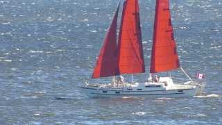 Kattu Sailing Fast Upwind