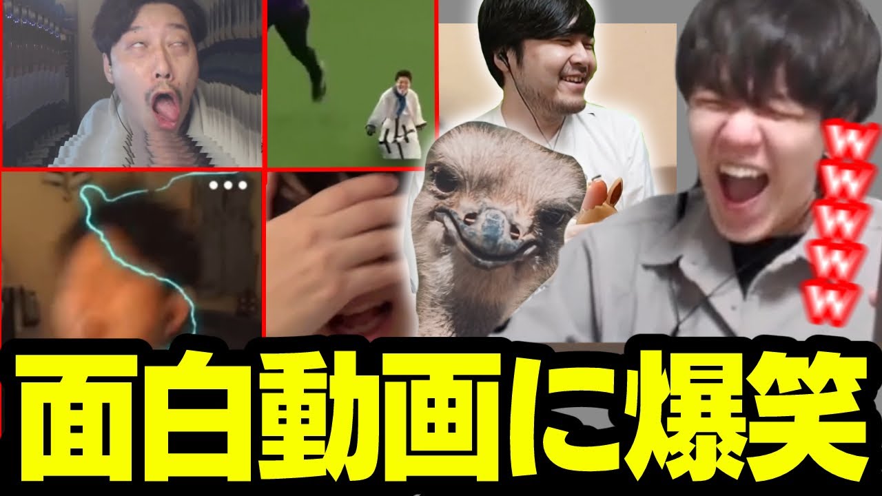 【まとめ】面白すぎる配信者等の動画を見るよしなま【2023/08/08】