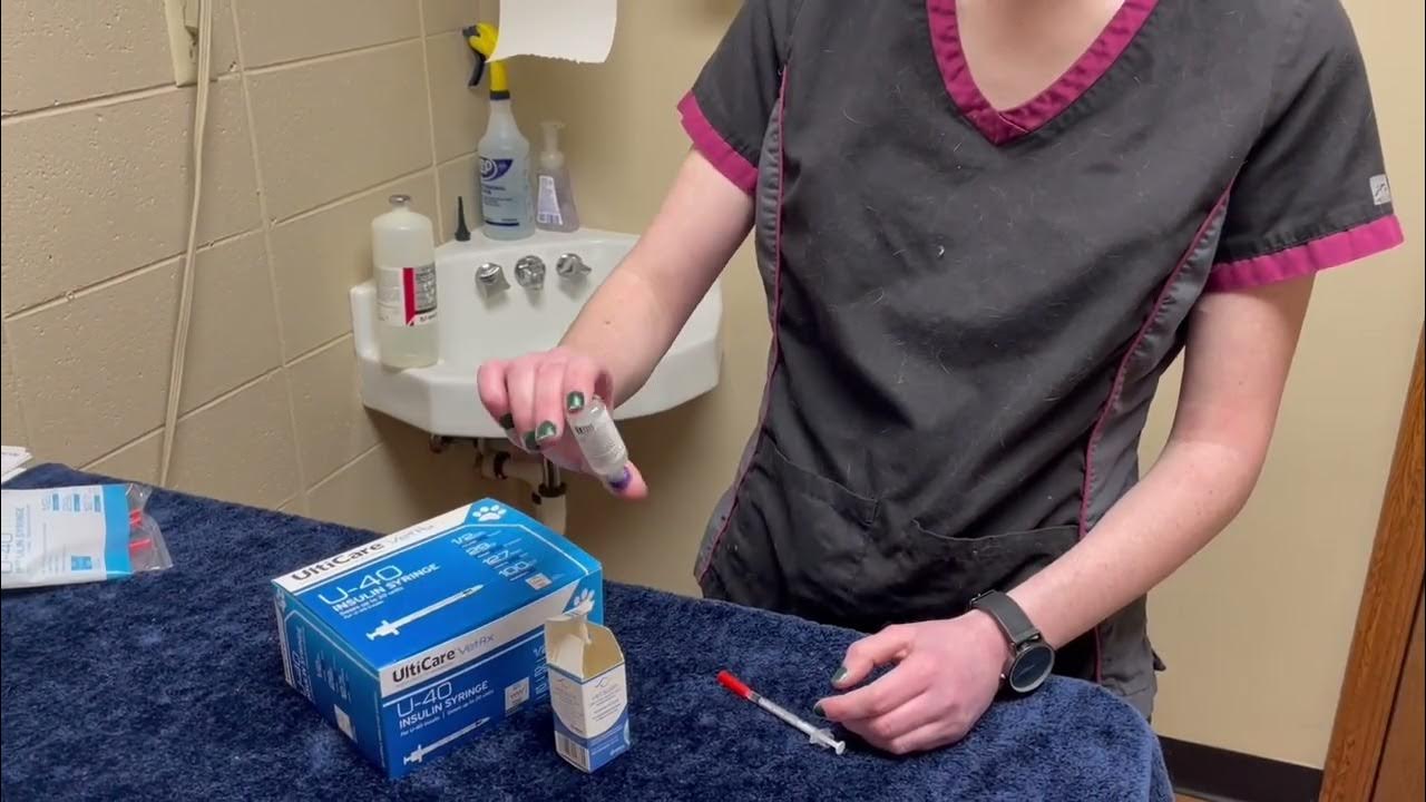 How To Give Your Dog Insulin YouTube