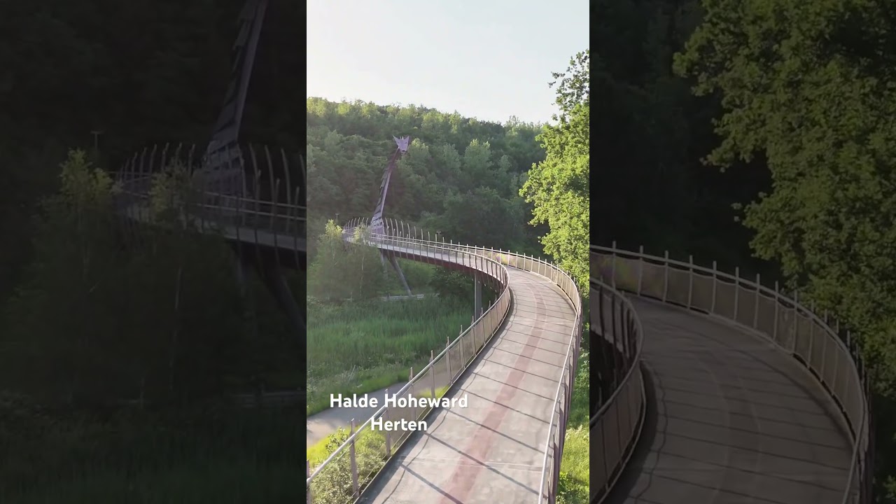 Halde Hoheward in Herten