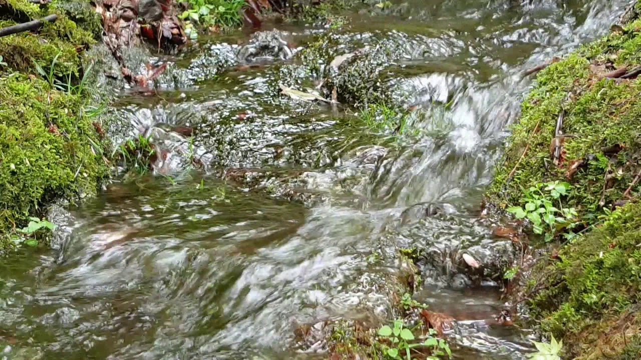 한라산 계곡물소리(1시간), 자연의 소리, 백색소음, 평온, 안정, 명상, asmr, healing, relaxing water Stream 1hours
