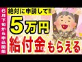 【6月下旬開始！】政府から5万円支給！年金受給者もまらえる調整給付金の対象者・申請方法について解説！【定額減税/補足給付金】
