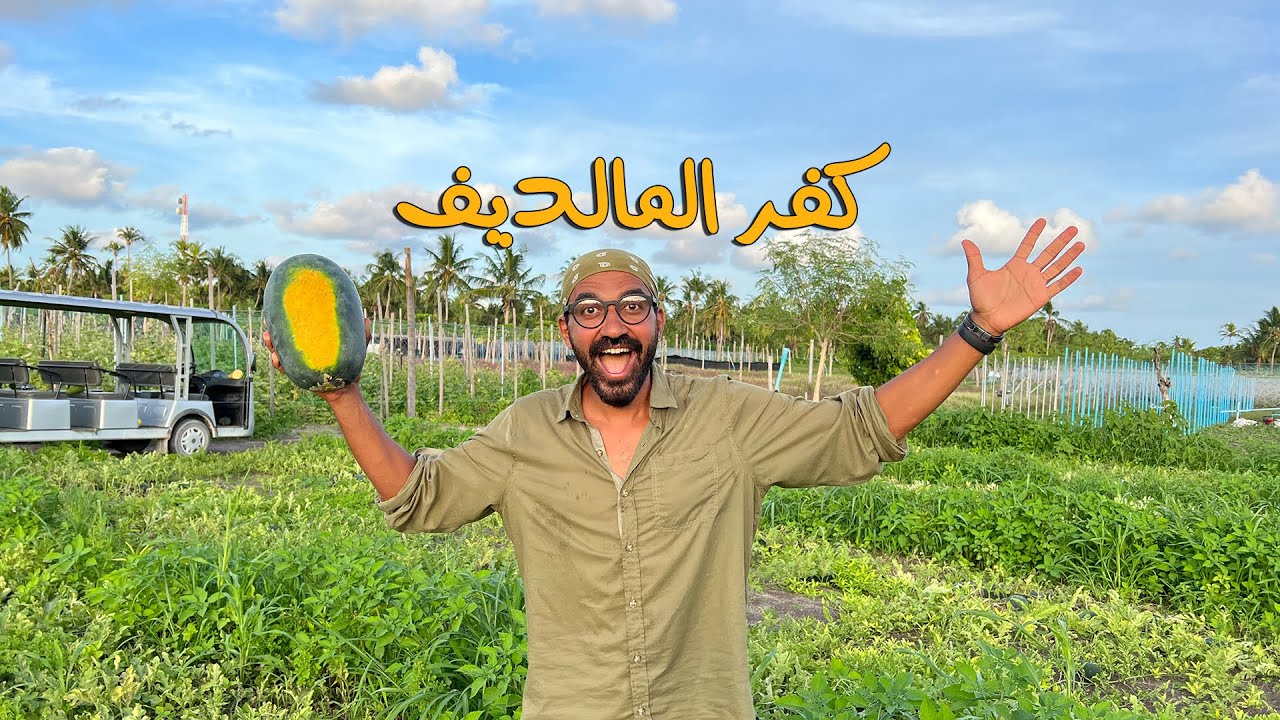 ⁣أغرب جزيرة في المالديف !! لماذا يزورها السياح