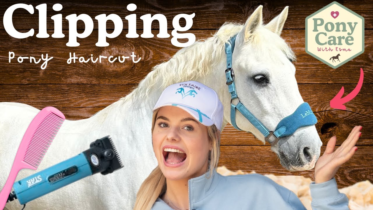 Horse Haircut! How to Clip a Pony