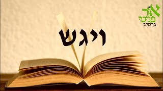 התנגדות - פרשת ויגש