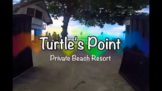 Catmon - Turtle's Point
