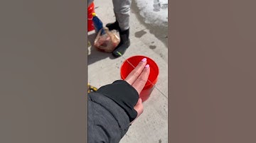 Best Mouse Trap Bucket #shorts #mouse #rat