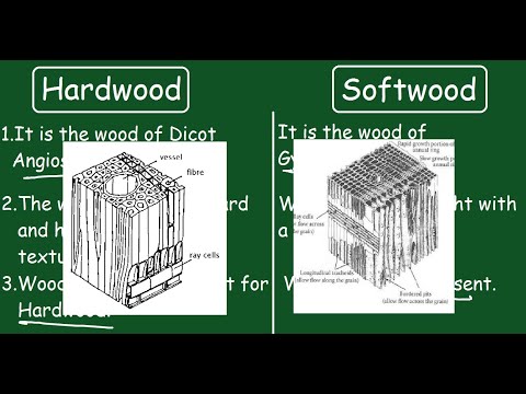 Video: Co jsou stromy z tvrdého dřeva - Harwood vs. Odrůdy stromů z měkkého dřeva
