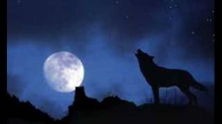 Cat Empire Lonely Moon vid